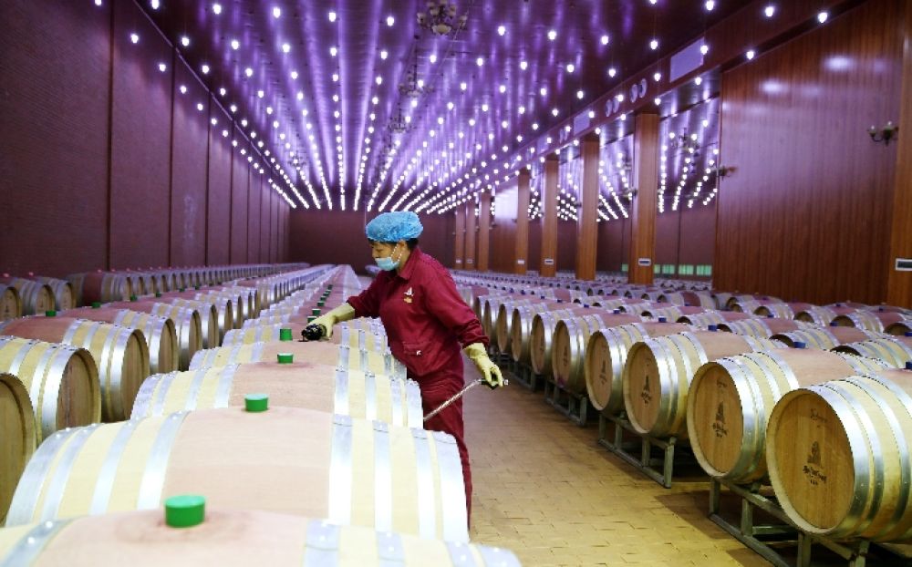 885566威尼斯央视网评：葡萄酒财产大有远景(图3)