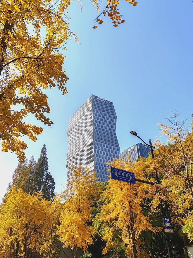 威尼斯wns8885556官方入口◈昔日聚焦@古北99官方售楼处公布：闵行古北9(图12)